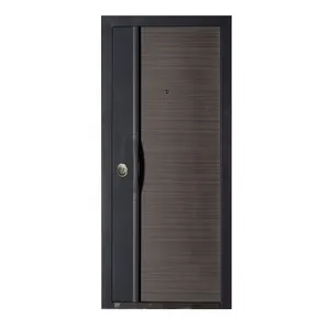 Doors Entrance Wholesale 2024 New Style Outras Portas Steel Entrance Door Residential Front With Aluminum Stripes