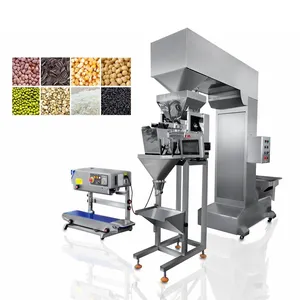 High Accuracy Modular Scale Coffee Bean Nut Auto Single Head Weigher Linear Weighing Machine