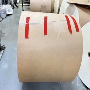 Rouleau de papier enduit de PE, pâte de bois, matière première pour gobelets à café imperméables - Product Image 4