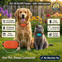 Traceur GPS 4G pour chiens et chats, étanche IP67, avec application, géolocalisation en temps réel, lecture de l'activité et surveillance à distance