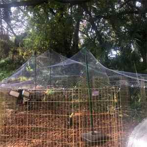 High Quality HDPE Anti-Aging Orchard <strong>Bird</strong> <strong>Netting</strong> Protective <strong>Netting</strong> for Agricultural Plants Vegetab - Product Image 3