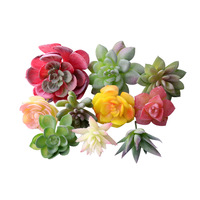 Assortiment de mini-succulentes au toucher réel Xuman Chenyang - Cactus artificiels résistants aux UV pour la décoration intérieure
