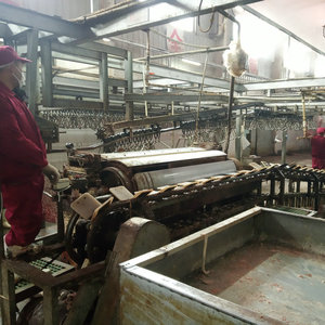 Máquina Automática Horizontal para Despellejar Cerdos, Equipo para Plantas <span class=keywords><strong>de</strong></span> Procesamiento y Sacrificio <span class=keywords><strong>de</strong></span> Animales - Product Image 6