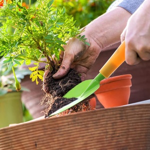 Cây Trồng Hoa Trồng Vườn Ngoài Trời Xẻng Trồng Rau Mọng Nước Cho Trẻ Em Bộ Dụng Cụ Đào Vườn Tại Nhà - Product Image 5