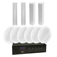 Mini amplificateur domestique DM-60 600W RMS 1 canal avec haut-parleur en métal de 3 pouces en forme de colonne, ensemble combo haut-parleur de plafond en alliage d'aluminium