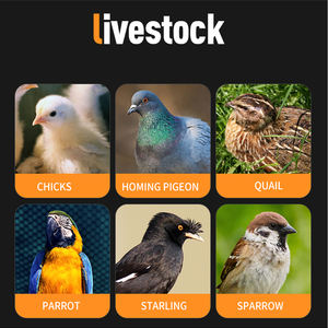 <span class=keywords><strong>Bebedero</strong></span> y <span class=keywords><strong>bebedero</strong></span> automático para granja de pollos, <span class=keywords><strong>doble</strong></span> taza, pájaro, animales pequeños - Product Image 6