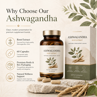 Capsules d'Ashwagandha standardisées à 5% de Withanolides, 600mg, extrait de racine de Withania Somnifera, certifiées GMP ISO, sans OGM, végétaliennes pour adultes
