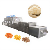 Séchoir à micro-ondes industriel à tunnel et stérilisateur pour pistaches, noix, amandes et épices