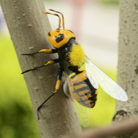 Grande statue d'abeille en fibre de verre pour l'extérieur, sculpture en résine artisanale, sculpture en résine pour la décoration de jardin en vente