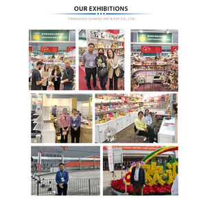 ตุ๊กตาสุนัขขนนุ่มน่ารักคุณภาพสูง ของเล่นสัตว์น่ารักสำหรับขายส่ง ของขวัญวันวาเลนไทน์และวันเกิด - Product Image 5