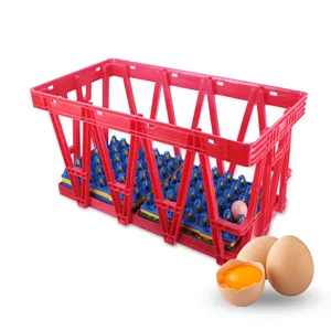 Factory Price Plastic Egg Crates Movable Boxes For Transporting Eggs And Duck Eggs