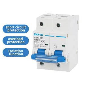 DZ47-125 100A 2P 63A 230V AC 50Hz/60Hz artık akım devre kesici aşırı akım ve kaçak koruma ile RCBO kesim L N - Product Image 4