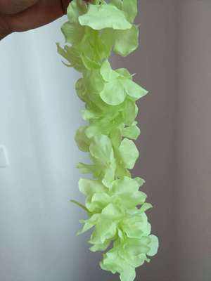 สีเขียว