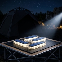Lampes solaires LED pour marches, étanches IP68, qualité OEM, allumage/extinction automatique, pour extérieur, terrasse, allée, porte, garage