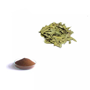 Sennasides (<span class=keywords><strong>Sennoside</strong></span> A + B) 2.5%-20% <span class=keywords><strong>Senna</strong></span>リーフエキスパウダー自然に - Product Image 2