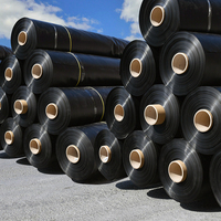 Geomembrana de HDPE, Revestimiento Impermeable, Ahorra Costos en Proyectos, Reduce Fugas y Pérdidas, Bajo Mantenimiento, para Vertederos y Minería