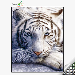 <span class=keywords><strong>Peinture</strong></span> de <span class=keywords><strong>diamant</strong></span> par numéros pour adultes, dessin animé de garçons, de bonne qualité, bricolage - Product Image 4