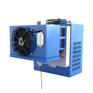 Unità di Condensazione a Compressore Scroll Automatico R404A per Alta/Bassa Temperatura con Motore per Cella Frigorifera Portatile (110V-380V) - Product Image 1