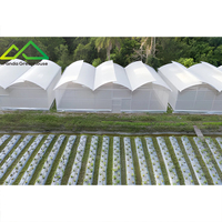 Serre polyvalente à poutres dentelées, grande taille, à ventilation naturelle haute performance pour la production de cultures tropicales et subtropicales