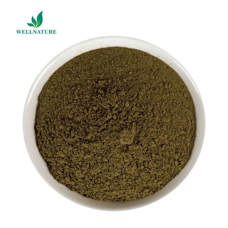 High Quality Bitter Orange Extract Powder