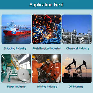 מנוף שרשרת אוויר 5 טון 10 טון 20 טון אוויר כננת אוויר אוויר קטן להניף מנוע פנאומטית להרמת פנאומטית - Product Image 5