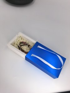 Caja para Reloj y Collar Lista para Enviar, MOQ Bajo de 20 Piezas, Cartón de Marfil Biodegradable, Forro de Esponja, Recubrimiento UV, Laminación Mate, Logotipo Personalizado - Product Image 6