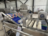 Commerciële fruit- en groentewasser, industriële groente-ozonbel-wasmachine
