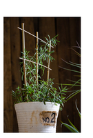 Treillis en bambou naturel Support de pression en bois traité thermiquement pour lit de jardin fleuri Clôture Treillis et portails