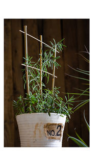 Échelle en <span class=keywords><strong>bambou</strong></span> à 4 niveaux, treillis naturel et écologique pour plantes potagères grimpantes, clôtures et portails - Product Image 6