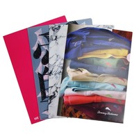 Carpeta Transparente de Polipropileno A4, Carpeta de Archivo en Forma de L
