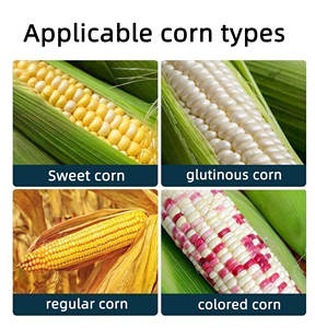 Pupuk Cair Jagung Fosfor Kalium Larut Air Asam Humat Rumput Laut Meningkatkan Berat Hasil Panen Padi Memperkuat - Product Image 4