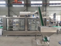 Ligne de production automatique facile à utiliser de remplissage de bouteilles en verre de boisson de 5 gallons Contrôle PLC Ensemble complet écologique de haute précision