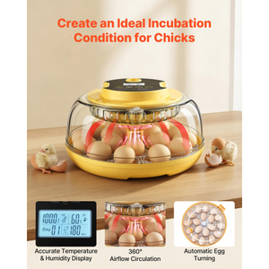 Incubateur d'œufs à température constante et contrôle précis de la température, retournement automatique des œufs, vente chaude 2026, entrepôt USA - Product Image 3