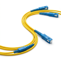 Cordon de brassage fibre optique monomode XINHAOZE SC/UPC SC/UPC 2,0 mm 1m-10m pour FTTH/FTTB/FTTX/Réseaux LAN câblés/Centres de données