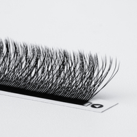 Extensions de cils individuelles faites à la main, véganes et confortables, pour salon de beauté, courbure C et D, en plateau, 0.05 0.07 5D 3D 4D, cils en forme de W, 8-15mm