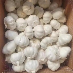 Venta al por mayor de ajo blanco orgánico de China, precio de fábrica, pelado, exportación, ajo al vapor y procesado BQF - Product Image 4