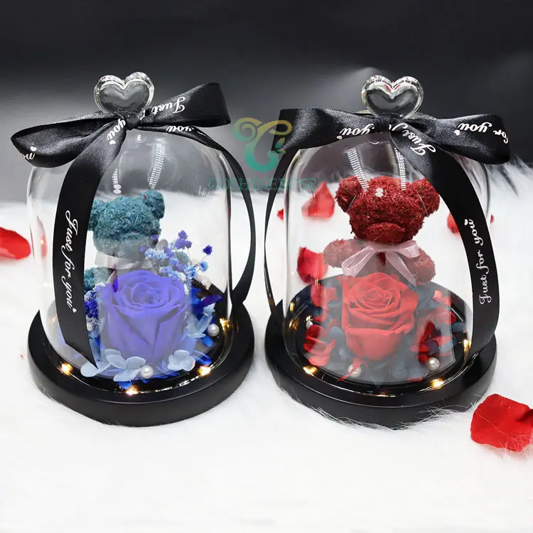 New Handmade Preserved Flowers Eternal Teddy Rose Bear In Glass