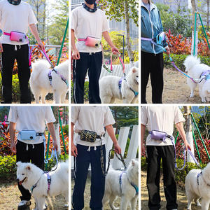 Collare e Guinzaglio per Cani di Lusso in Nylon Resistente con Marsupio per Passeggiate Eleganti - Product Image 5