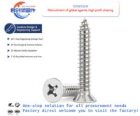 304 Stainless Steel Metric M2 Fine Thread Class 4 Extra-Long Self-Tapping Wood Screws