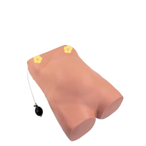 Obstetrik eğitim için tıbbi Model beyin bilgisayarlı hamile kadın muayene modeli - Product Image 2