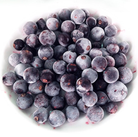 Bevroren Zwarte Bes Eersteklas Gedroogd Fruit Voor Uw Gezonde Snack Of Culinaire Lekkernijen