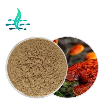 Top Kwaliteit Ganoderma Extract Reishi Paddestoel Extract Reishi Polysaccharide 30% 50%