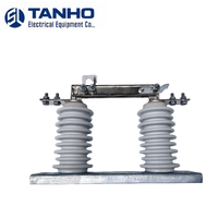 Interrupteur isolant haute tension extérieur TANHO 10kV, type céramique blanche