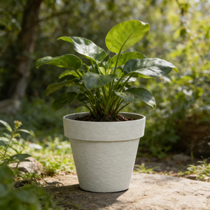 Jardinière Moderne en Plastique PP <span class=keywords><strong>de</strong></span> Haute Qualité, Écologique, pour l'Intérieur et l'Extérieur, pour Plantes et <span class=keywords><strong>Fleurs</strong></span>, Plusieurs Tailles Disponibles - Product Image 4