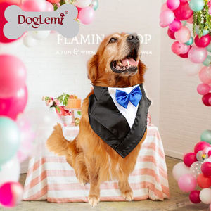 ربطة عنق للكلاب كبيرة وصديقة للبيئة للبيع بالجملة تصميم جديد أنيق للرسوم المتحركة والكلاب - Product Image 5