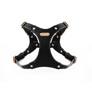 Arnés y Correa para Perro Pequeño de Cuero PU Premium, Ajustable, Transpirable, <span class=keywords><strong>con</strong></span> Malla, para Pasear y Viajar - Product Image 1