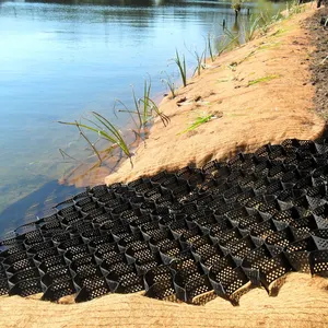 Grille de gravier d'allée en plastique pour renforcer le stabilisateur de sol en nid d'abeille