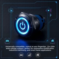 Interruptor de Botón Metálico Impermeable IP67 de 19 mm Zhuolangqi con Luz LED, Autobloqueante/Reinicio, 12V, para Uso Industrial