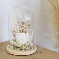 Vente en gros Roses blanches pures conservées pour toujours en verre Cadeaux créatifs pour fille Fleurs conservées