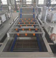 Automatische fruit- en groentewasmachine met bubbels, SUS304, commerciële groentewasser met waterrecirculatiesysteem
